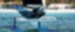 banner_fondo_pagina.jpg